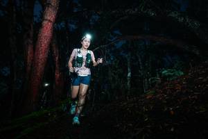 BIB: 
                            <button type="button" onclick="openModal(26340944)" class="btn btn-primary btn-sm float-right btn-popup" data-toggle="modal" data-target=".modal-high-quality">
                        <i class="fas fa-shopping-cart"></i> Add to Cart
                    </button>
                                            <button type="button" onclick="isThisMe(26340944, true)" class="btn btn-success btn-sm float-right btn-popup btn-isme hidden" data-toggle="tooltip" data-placement="bottom" title="นี่คือรูปของคุณใช่ไหม คลิกที่นี่เพื่อเอาเข้าอัลบั้ม">
                        <i class="fas fa-plus"></i> Add to album
                    </button>
                    <button type="button" onclick="isThisMe(26340944, false)" class="btn btn-warning btn-sm float-right btn-popup btn-isnotme hidden">
                        <i class="fas fa-ban"></i> Remove from album
                    </button>